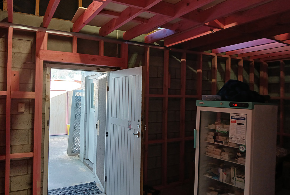 Naenae Pharmacy refit - during